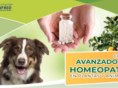 cursos_homeopatia_avanzada1